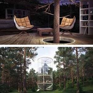 architecture-around-the-trees-3__880