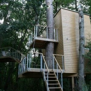 tree-inside-house-architecture-2__880