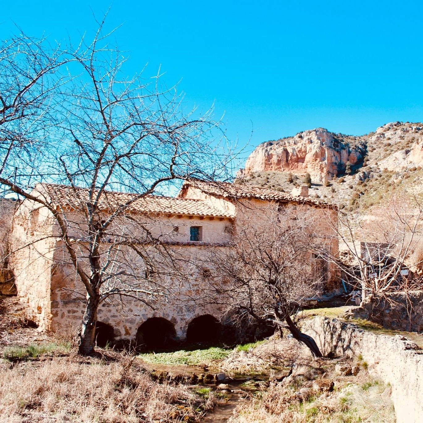 foto molino