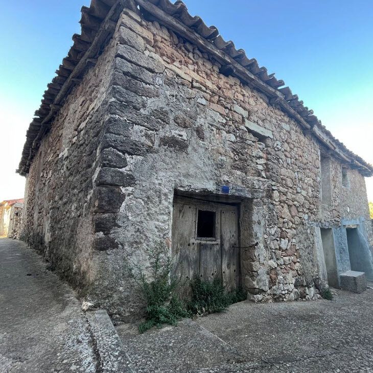 casa y olivos