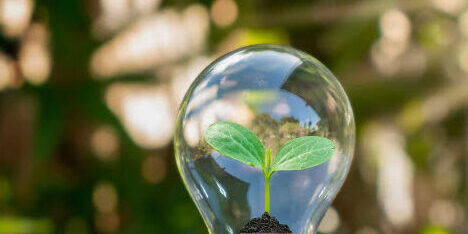 energia renovable